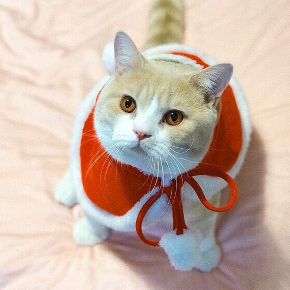 Pet Holiday Cat Costume Red Christmas Cloak