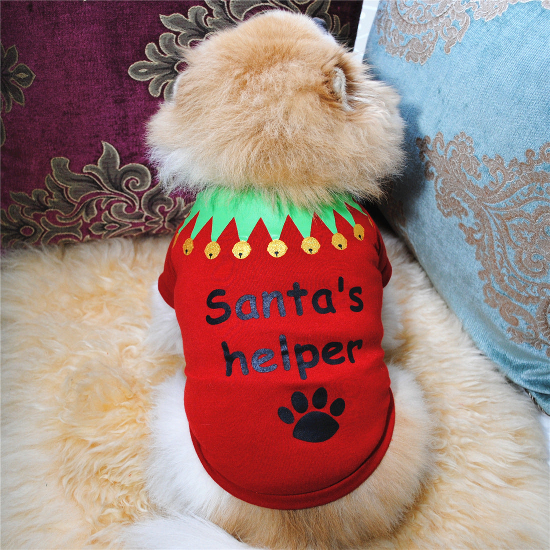 Cute Dog Clothing Christmas Shirt